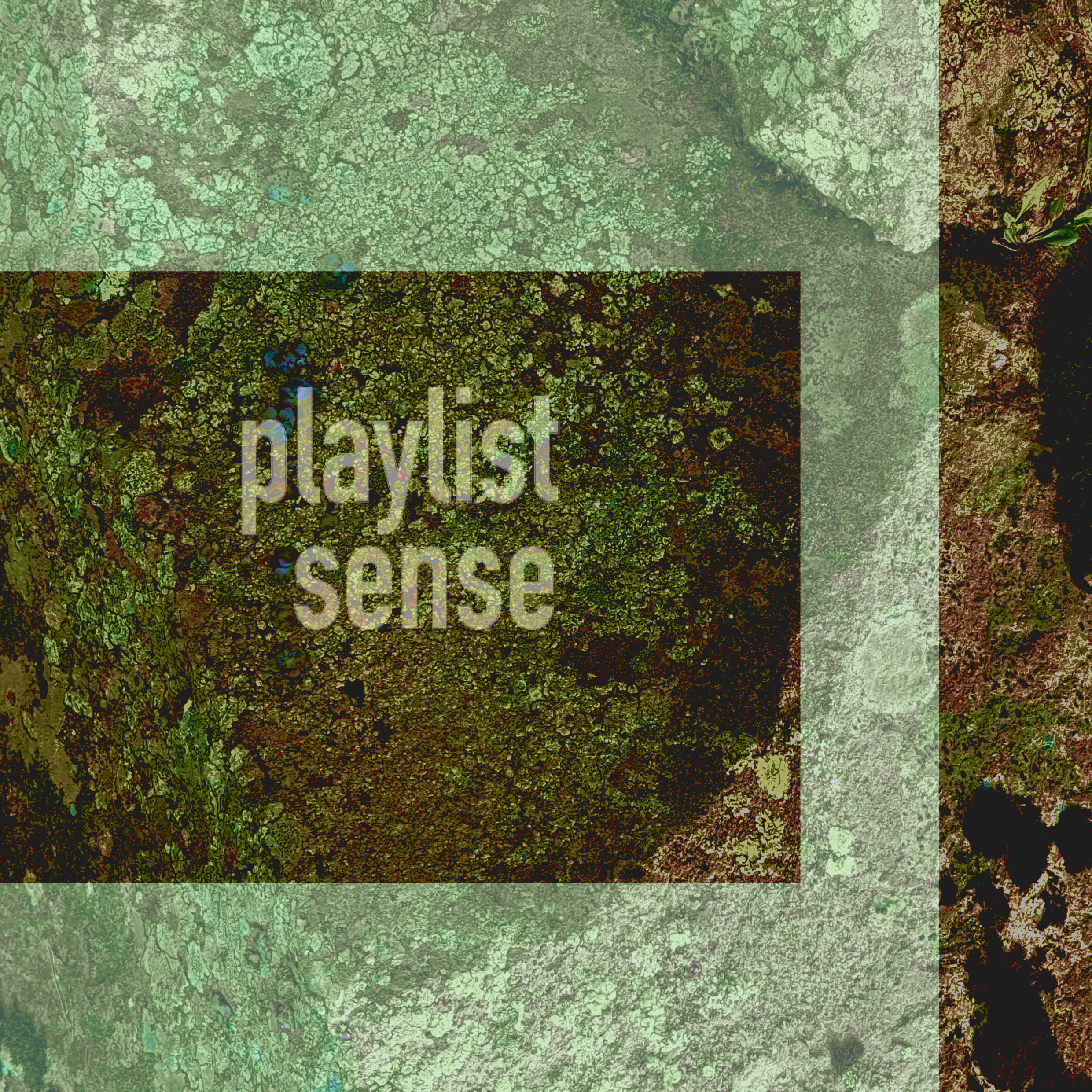 new playlist: S 2025-08-26