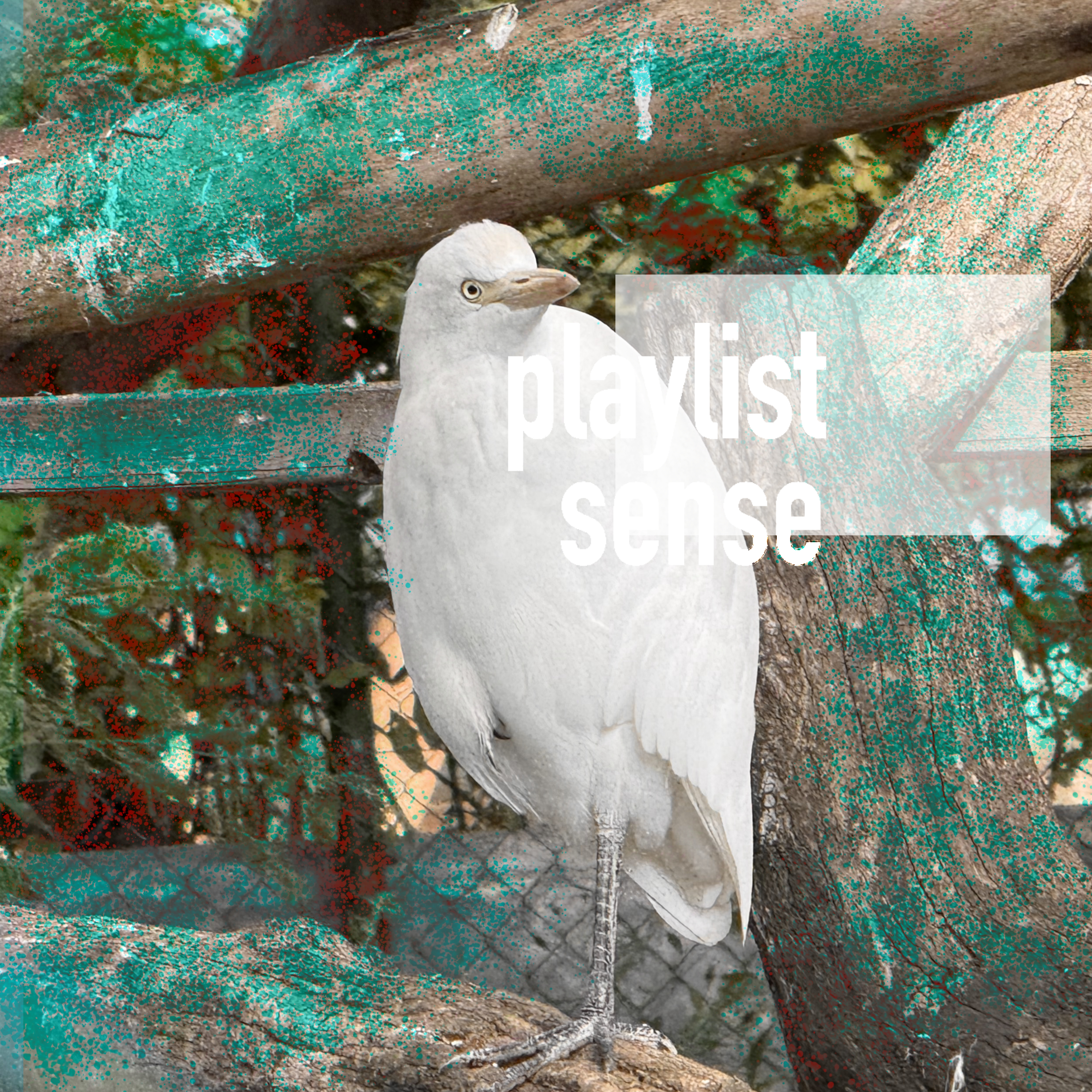 new playlist: S 2025-11-11