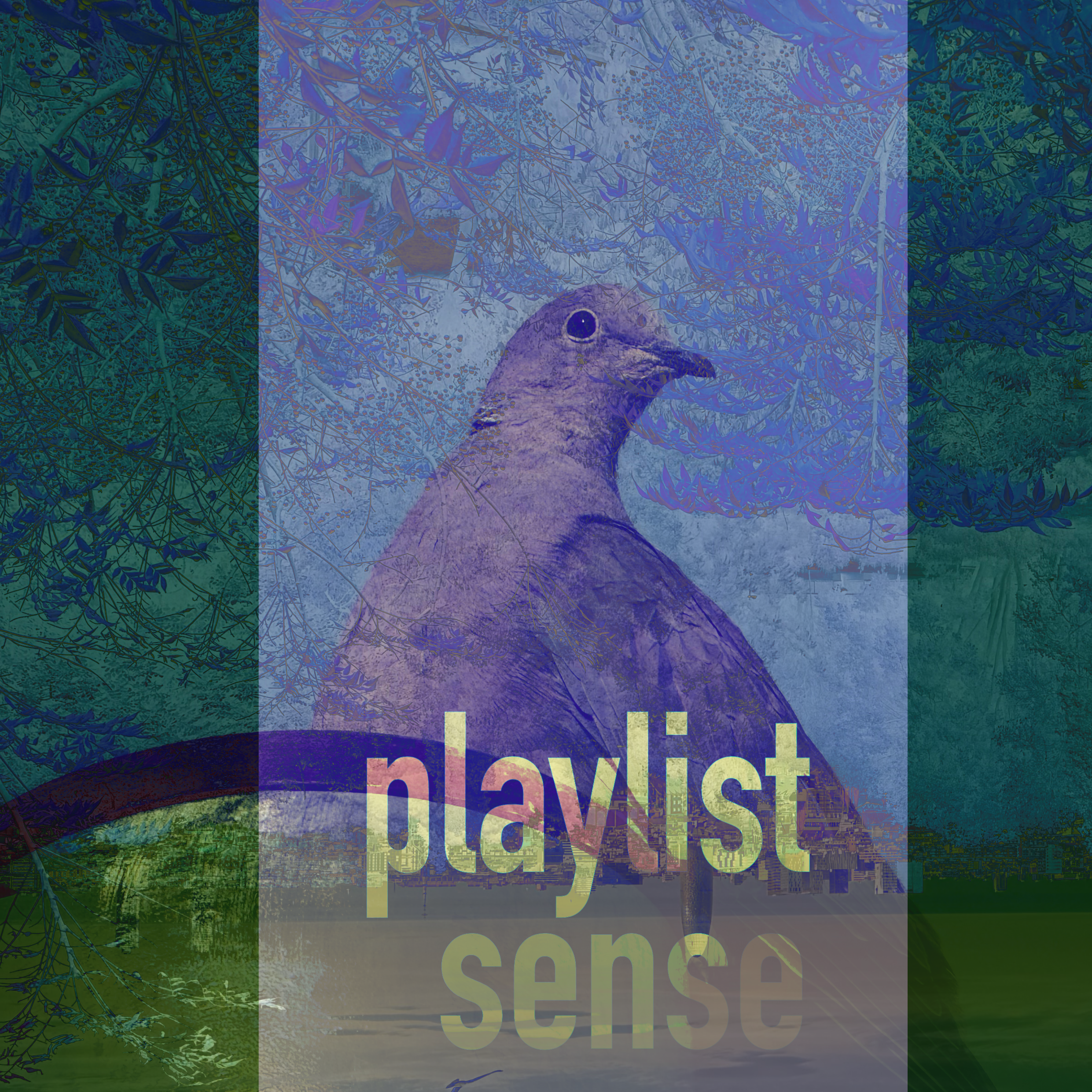 new playlist: S 2025-12-19